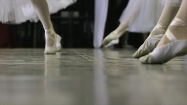 Ballet. Chicas mujeres realizan danza de ballet con floración en el escenario . — Vídeos de Stock