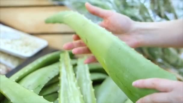 Hübsche junge schöne Mädchen oder Frau kauft Lebensmittel, pflückt Aloe-Blätter, Karotten, Kohl, Salat, Blumenkohl auf dem Markt, im Supermarkt. — Stockvideo