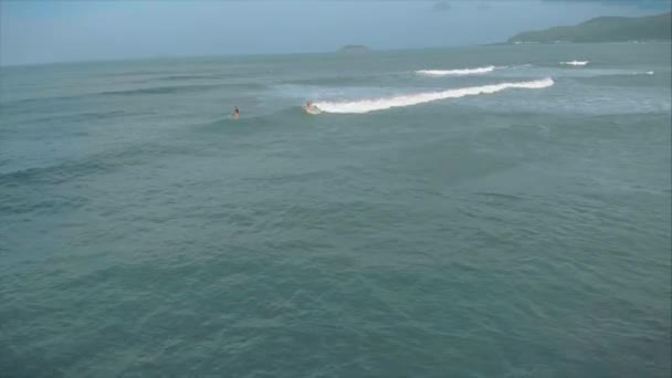 Vista aérea desde arriba Mujeres y hombres jóvenes atléticos surfean, montan olas grandes con luz del día brillante, el surfista está esperando su ola . — Vídeo de stock