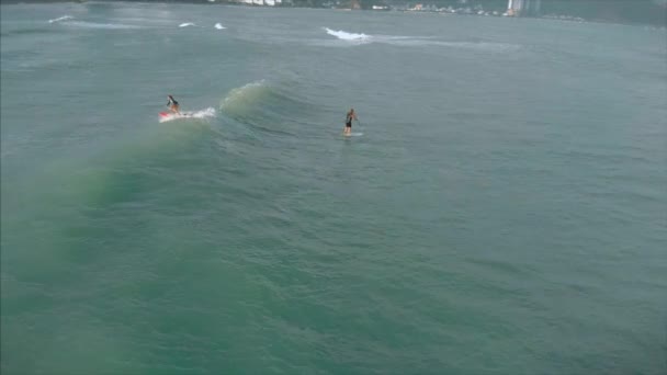 Vista aérea desde arriba Mujeres y hombres jóvenes atléticos surfean, montan olas grandes con luz del día brillante, el surfista está esperando su ola . — Vídeos de Stock