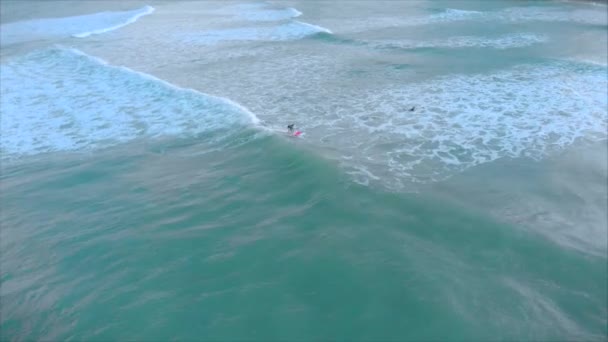 Aerial view from above Athletic young women and men surf, ride big waves with bright daylight, surfer is waiting for his wave. — Stock Video