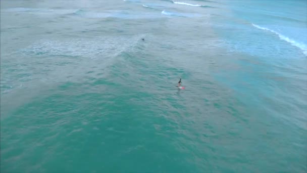 Vista aérea desde arriba Mujeres y hombres jóvenes atléticos surfean, montan olas grandes con luz del día brillante, el surfista está esperando su ola . — Vídeos de Stock