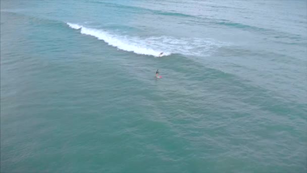 Vista aérea desde arriba Mujeres y hombres jóvenes atléticos surfean, montan olas grandes con luz del día brillante, el surfista está esperando su ola . — Vídeos de Stock