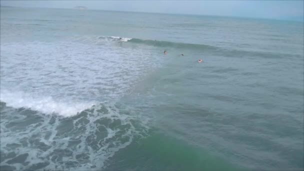 Vista aérea desde arriba Mujeres y hombres jóvenes atléticos surfean, montan olas grandes con luz del día brillante, el surfista está esperando su ola . — Vídeo de stock