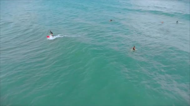 Aerial view from above Athletic young women and men surf, ride big waves with bright daylight, surfer is waiting for his wave. — Stock Video