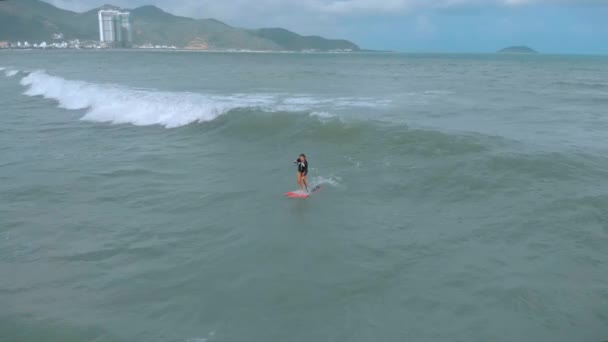 Vue aérienne d'en haut De jeunes femmes et hommes sportifs surfent, chevauchent de grandes vagues avec une lumière du jour brillante, le surfeur attend sa vague . — Video