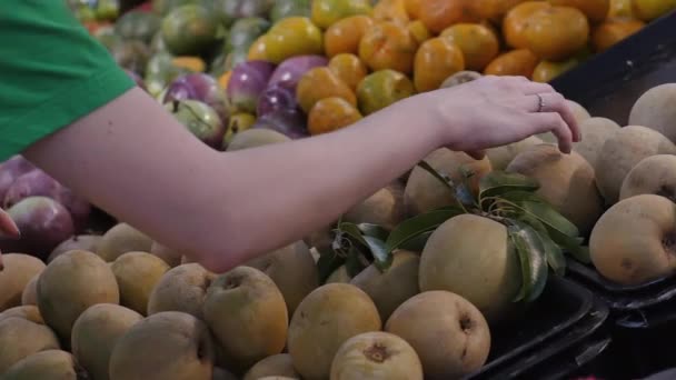 Mãos de mulher ou mãe está fazendo compras no supermercado, escolhendo produtos no supermercado para cozinhar, alimentos saudáveis, frutas no mercado, supermercado . — Vídeo de Stock