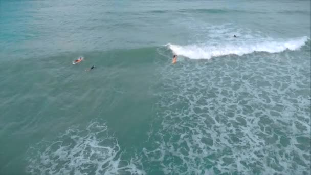 Vue aérienne d'en haut De jeunes femmes et hommes sportifs surfent, chevauchent de grandes vagues avec une lumière du jour brillante, le surfeur attend sa vague . — Video