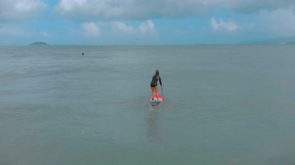 Vista aérea Deportiva de una niña o una mujer joven y los hombres que esperan su ola para surfear, la gente surfea, montar olas grandes en la luz del día brillante, un surfista está esperando su ola . — Vídeos de Stock