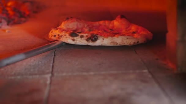 Comprueba la preparación de la pizza sacándola del horno de pizza usando la corteza de la pizza. — Vídeos de Stock