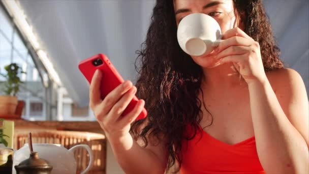 Young Girl or Woman Drinking Coffee in Cafe SMS sharing messages on social media enjoyed mobile technology . — Stok Video