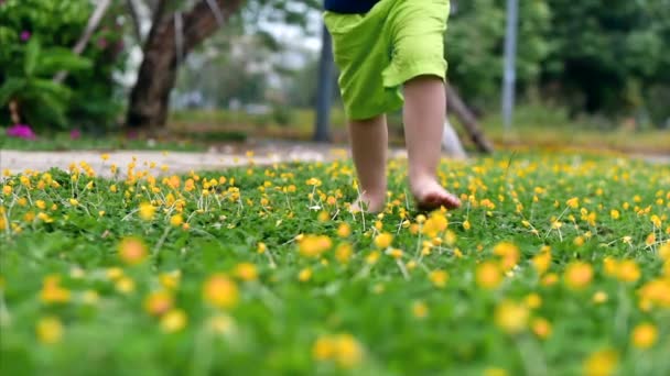 Nahaufnahme kleiner Sohn, der draußen spielt, läuft auf hellgrünem, schönem Gras mit gelben Blumen, draußen im hohen Winkel zu Füßen eines kleinen Kindes, das auf dem Rasen in der Nähe des Hauses läuft. — Stockvideo