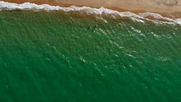 Lucht drone schot uitzicht op de oceaan van de oceaan golven, prachtige golven niet eindigen frames een voor een, terwijl de turquoise zee golven breken op de zandkust. 4K — Stockvideo