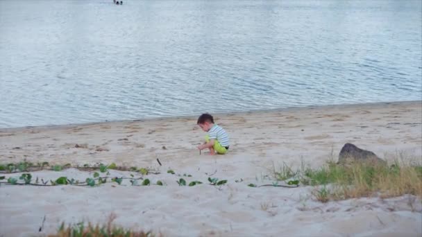 Gelukkig en zorgeloos kind speelt aan zee, raapt zand op met een spatel, giet zeewater in een gieter, giet zand. Little Boy speelt bij de zee. Gelukkige jeugd. — Stockvideo