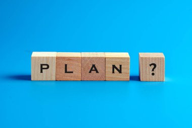 Planın nedir?