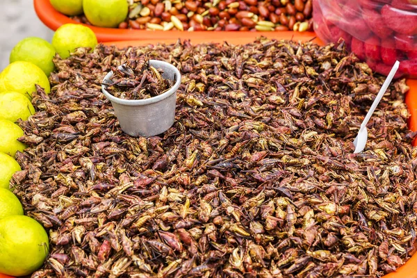 Chapulines - grasshopper snaks — Stockfoto