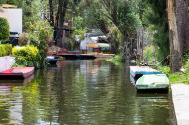 Xochimilco Mexico City 