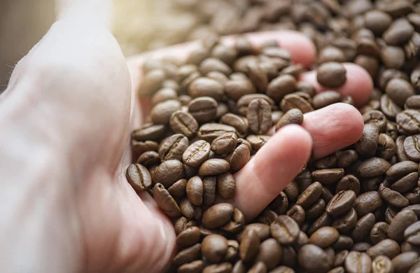 Man holding brown beans, aromatic fresh coffee beans