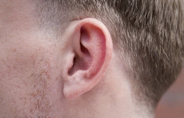 Крупним планом людського вуха — стокове фото