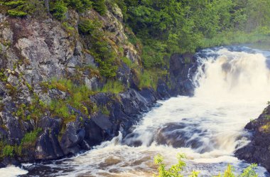 Şelale vahşi ormanda doğa resmi