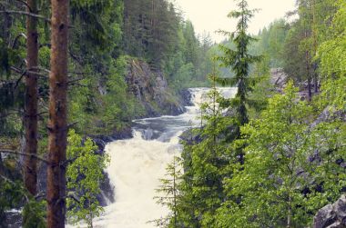 Vahşi orman ve şelale