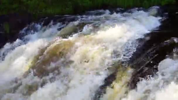 Cascada en el bosque salvaje, cascada de primer plano — Vídeo de stock