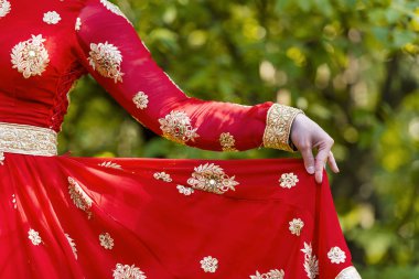 Hindistan'da bir park geleneksel sari Hintli kadın giyinmiş