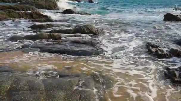 Tropikal plaj, kumlu plaj — Stok video