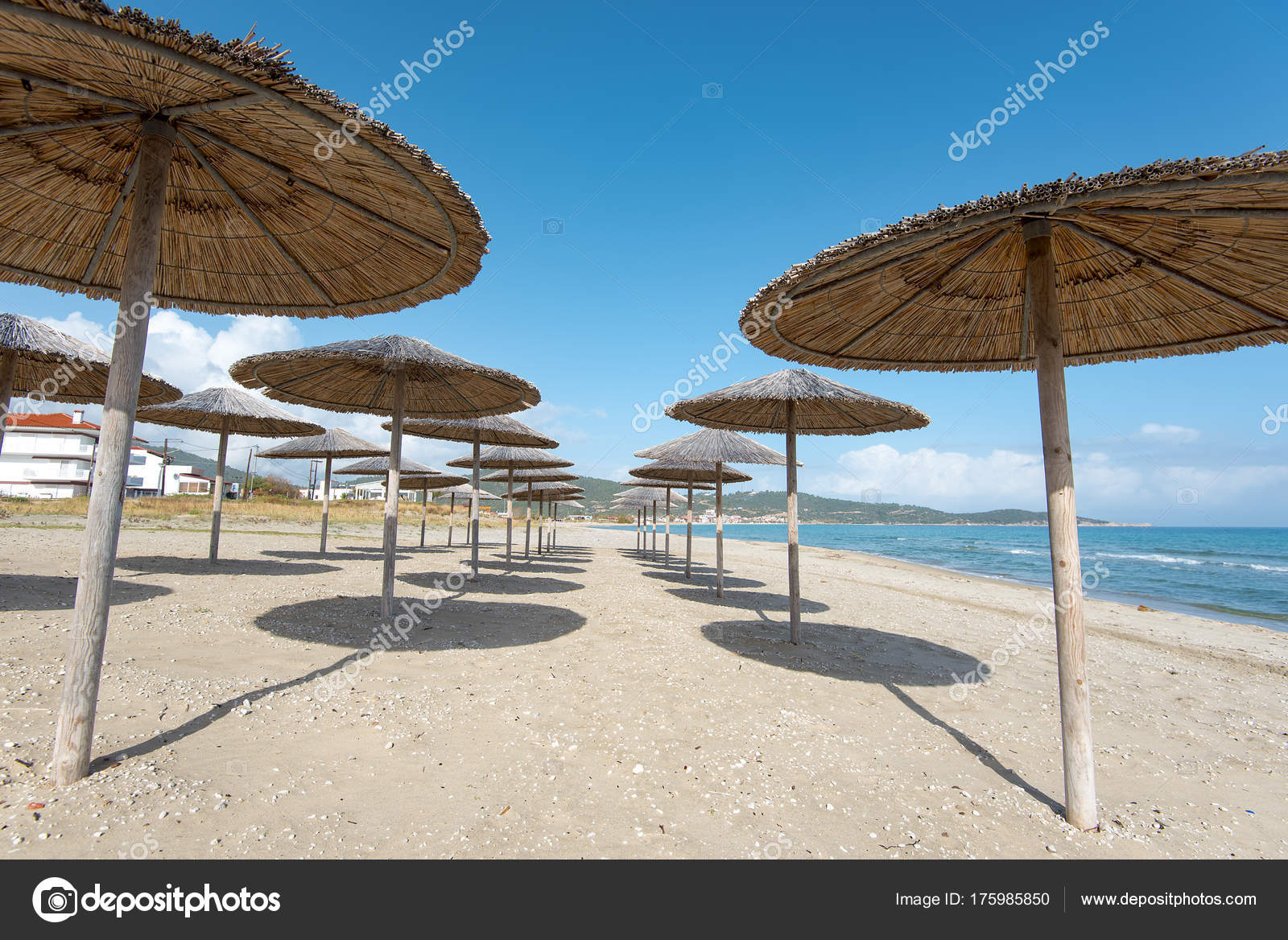 beach without sand