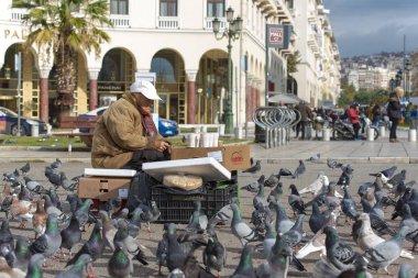 Güvercinler ve satıcı ana Meydanı 18 Kasım tarihinde Selanik'te sürüsü. 2017 yılında Yunanistan