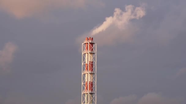 Chemical Factory Smoke Stack — Stock Video