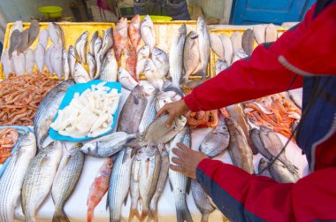 Gerçek balık pazarı ve taze balık, Fas 'taki Atlantik Okyanusu' ndan deniz ürünleri.