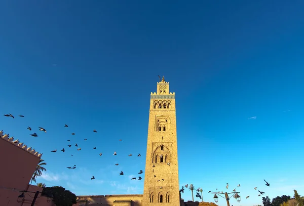 Şaşırtıcı Sabah Görünümünü Koutoubia Cami Marrakech Veya Marrakesh Morocco — Stok fotoğraf