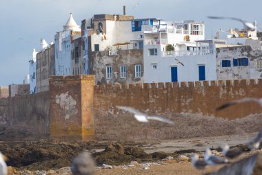Essaouira surlar Essaouira, Fas hava muhteşem panoramik manzaralı.
