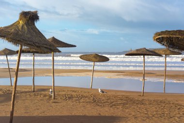 Sabah okyanus, okyanus önünde plaj şemsiyesi