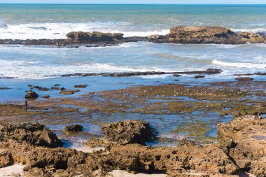 Atlantik Okyanusu, düşük tide