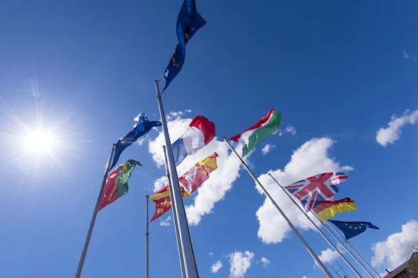 Rijen Van Europese Vlaggen Vlaggen Van Landen Van Wereld — Stockfoto