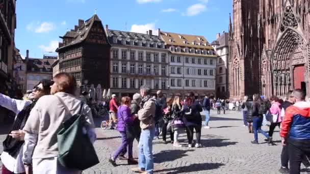 Strasbourg Mai Menschenmassen Touristen Der Kathedrale Notre Dame Strasbourg Mai — Stockvideo