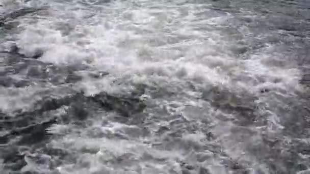 Rivière Qui Coule Ruisseau Spring River — Video