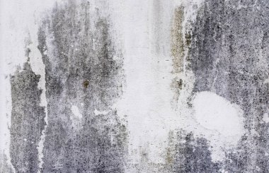 Arka plan olarak kirli staines ve funguses ile beton duvar