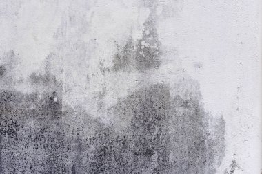 Arka plan olarak kirli staines ve funguses ile beton duvar