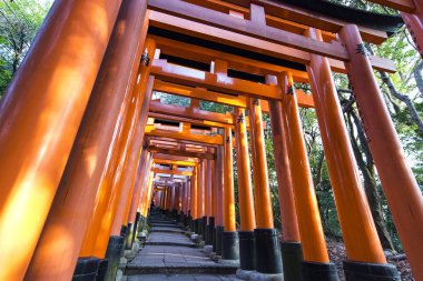 Kyoto - Ocak 01: Kyoto 'daki Fushimi Inari Tapınağı' nın Torii kapıları. Japonya 'da 2017