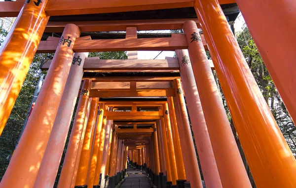 Kyoto Jan Portas Torii Santuário Inari Fushimi Kyoto Janeiro 2017 — Fotografia de Stock