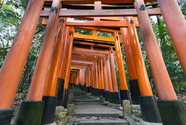 Kyoto Gennaio Cancelli Torii Santuario Fushimi Inari Kyoto Gennaio 2017 — Foto Stock