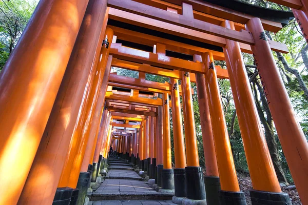 Kyoto Gennaio Cancelli Torii Santuario Fushimi Inari Kyoto Gennaio 2017 — Foto Stock