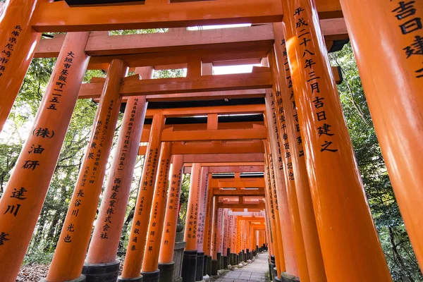 Kyoto Jan Torii Grindar Vid Fushimi Enare Helgedom Kyoto Den — Stockfoto