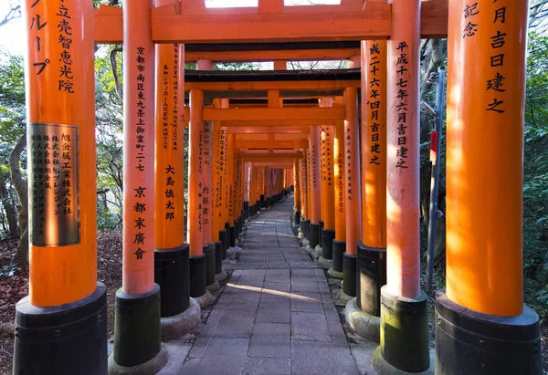 Kyoto Jan Portes Torii Sanctuaire Fushimi Inari Kyoto Janvier 2017 — Photo