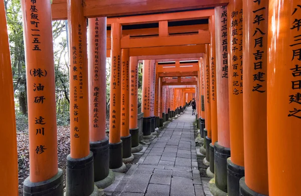 Кіото Січень Ворота Торіі Святині Фусімі Інарі Кіото Січня 2017 — стокове фото