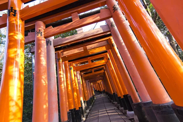 Kyoto Jan Portas Torii Santuário Inari Fushimi Kyoto Janeiro 2017 — Fotografia de Stock