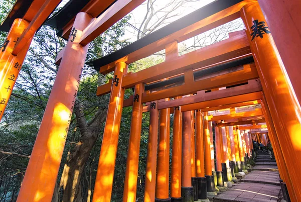 Kyoto Gennaio Cancelli Torii Santuario Fushimi Inari Kyoto Gennaio 2017 — Foto Stock